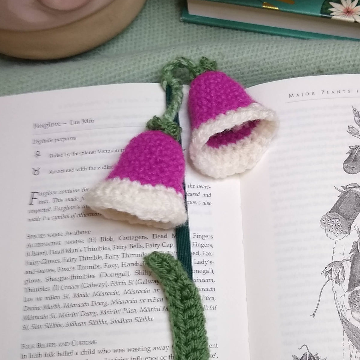 Foxglove  Bookmark